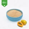 top grade green papaya milk juice powder in bulk