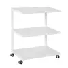 Mobile 3 Tiers Printer Shelf Stand Side Table End Table on Wheels