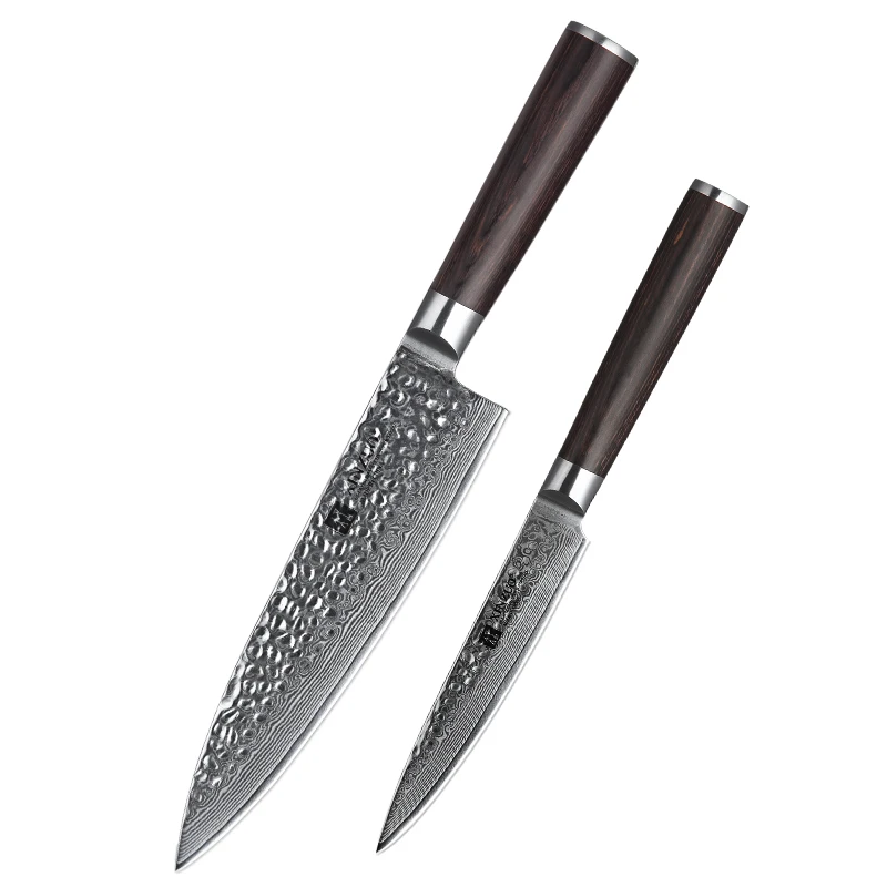 

2 pcs professional Japanese VG10 Damascus steel kitchen knife set