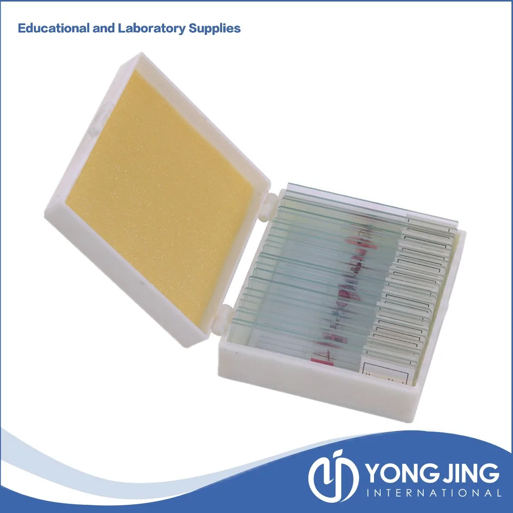 Series Prepared Microscope  glass Slide,Various models.jpg