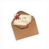 100 Pack Brown Kraft Mini Envelopes 4 x 2.75 inch Gift Card Craft Paper Envelope