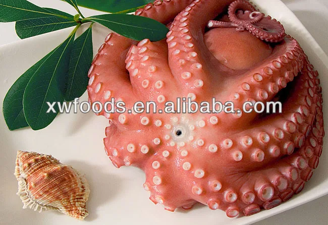 reversible octopus buy 1 get 3 free