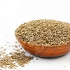 Wholesale Price Chinese Single Spice Herb Seeds of Cumin
