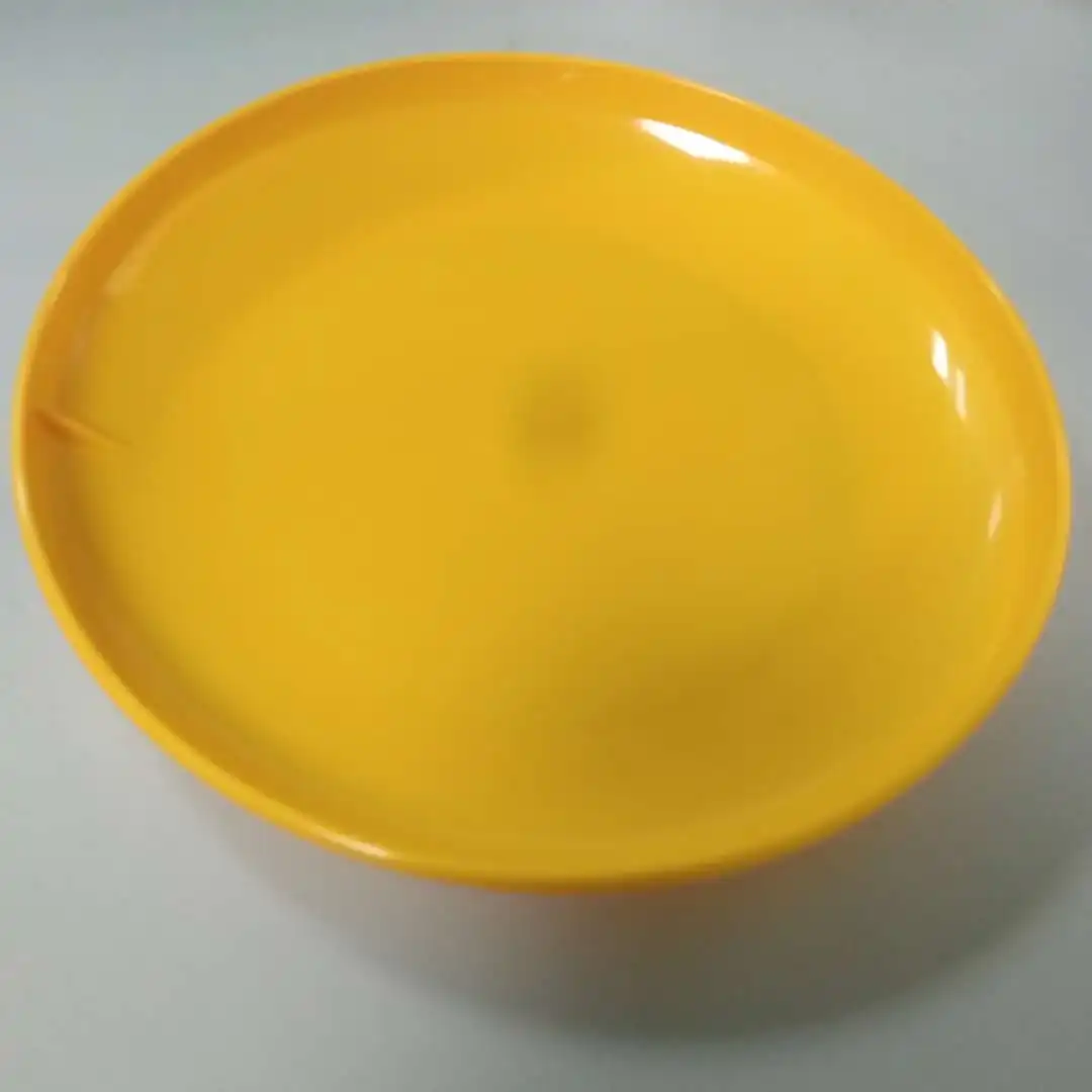 plastic plate.jpg