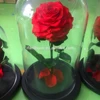 decoration product type high quality decoration forever rose in glass