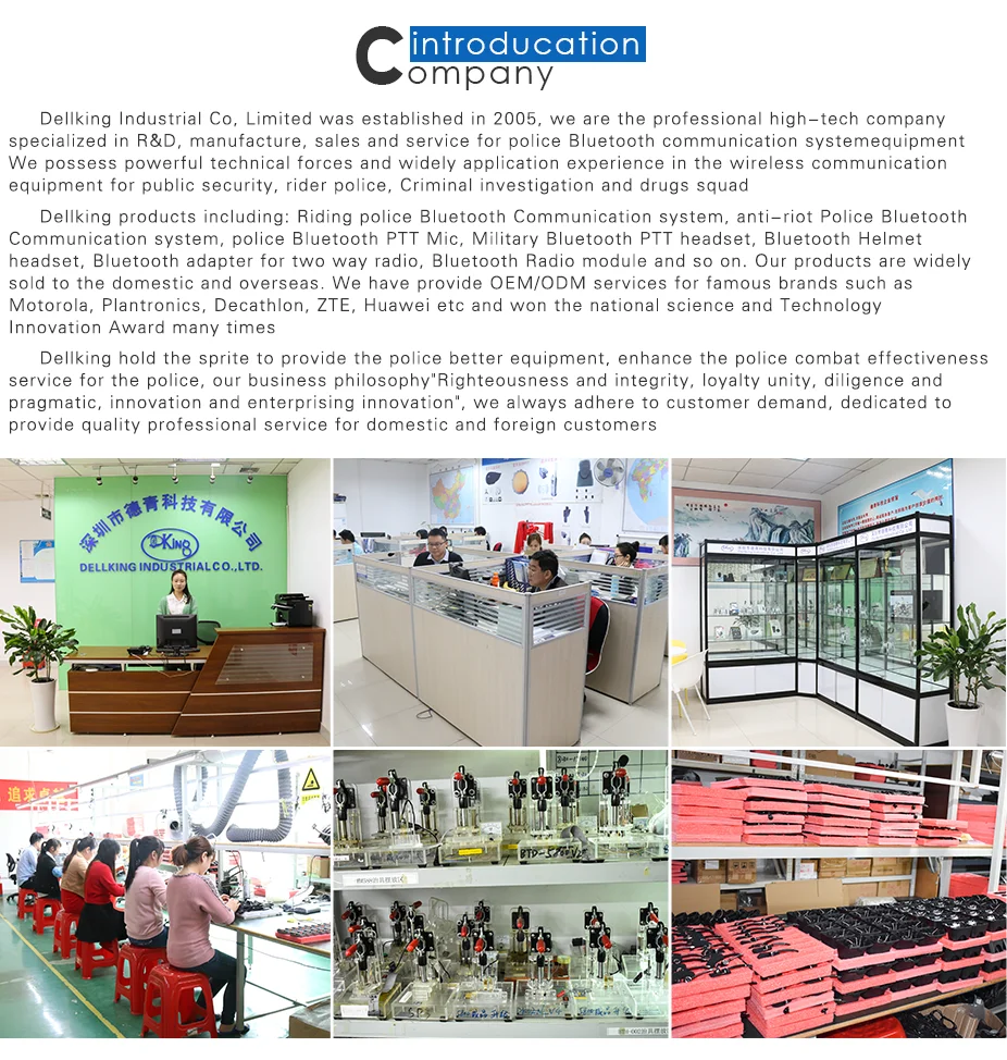 company introduction