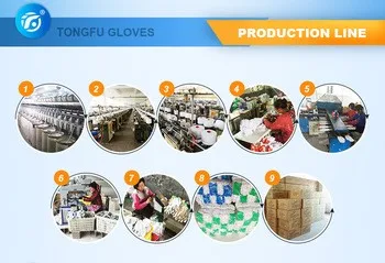 HTB1_NO7LXXXXXX5XXXXq6xXFXXX2.jpg_350x350