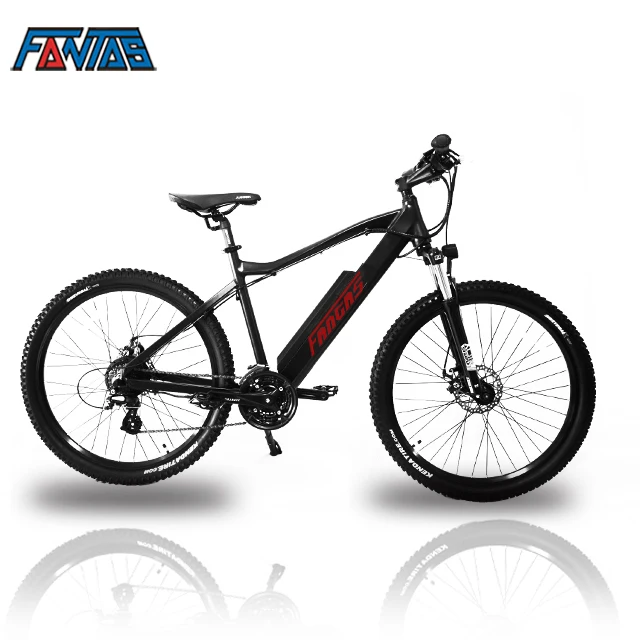 

Fantas-Bike City-hunter002 48V750W bicycle electric, Matt white electric bicycle