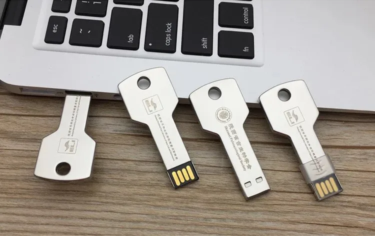 2018 new hot business gift key shape customized logo 1gb 4gb 8gb 16gb 64gb memory USB flash pendrive - ANKUX.COM