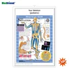 Licensed Educational Plastic 3D Medical Anatomical Wall Chart /Poster - Your Skeleton ( pediatric)