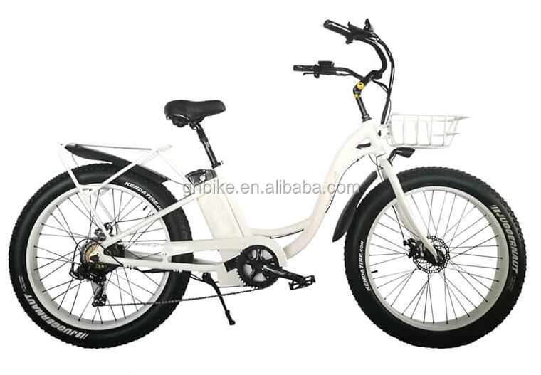 ebike front basket