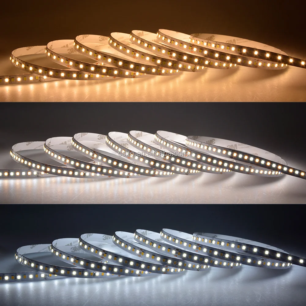 可调白色双色 cct 可调 2835 168led/m 24 v led 灯条