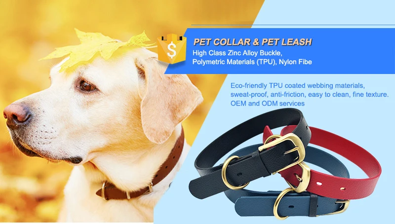 tpu dog collar