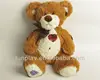 HI CE magic funny care bear plush dolls