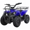 /product-detail/petrol-powerful-kids-atv-49cc-50cc-mini-motor-quad-bike-with-ce-60781416687.html