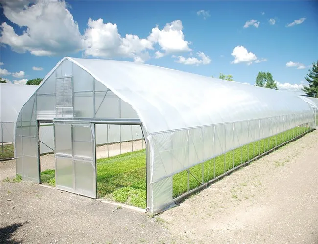 tunnel greenhouse for flower farming