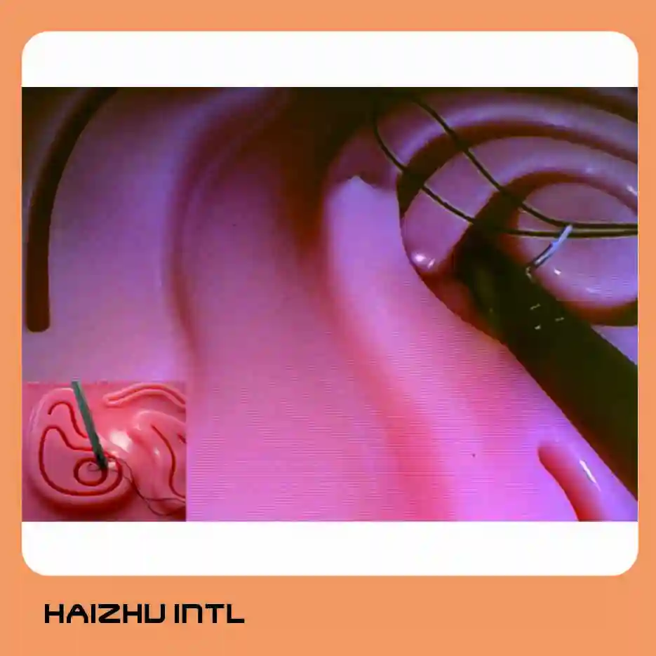 trainer with endo camera6