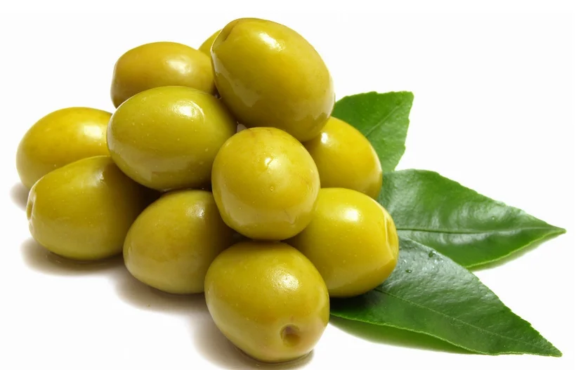 低热冷压机椰子大豆榨油机价格