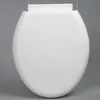 toilet seats produce making supplier/factory