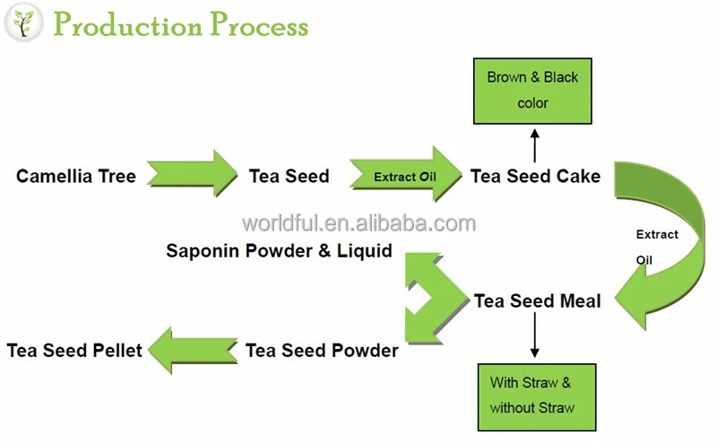 natural camellia extract saponin / tea saponin powder