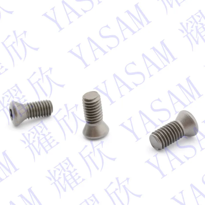 torx insert screws (9)