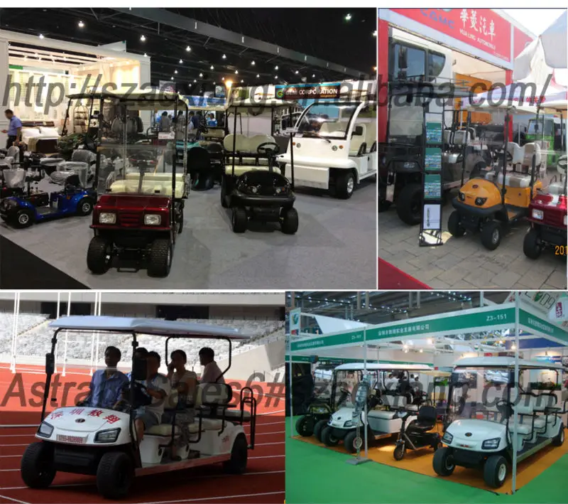 Oem Mini Golf Carts For Sale,Electric Golf Cart Club Car With Curtis