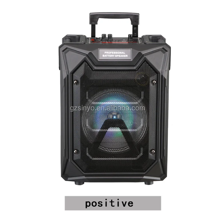 LT-0813 speakers (7)