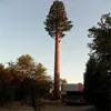palm tree antenna tower
