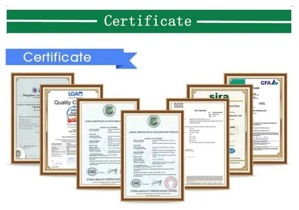 certificate1.jpg