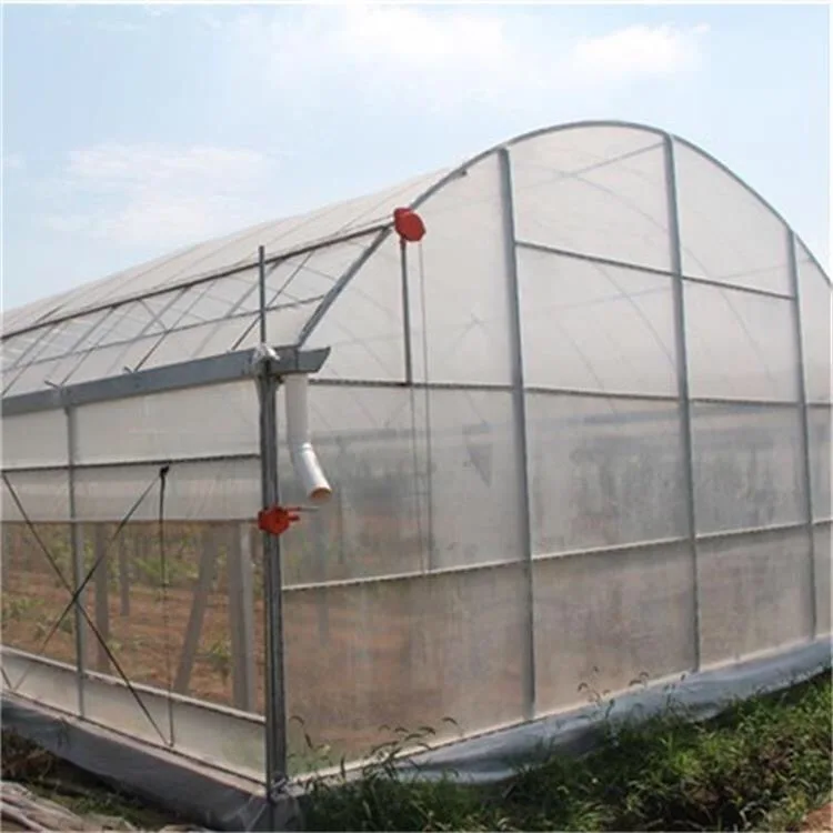 Column Greenhouse.JPG