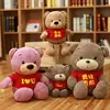 Custom Teddy Bear Giant Teddy Bear Stuffed Animals Plush Teddy Bear
