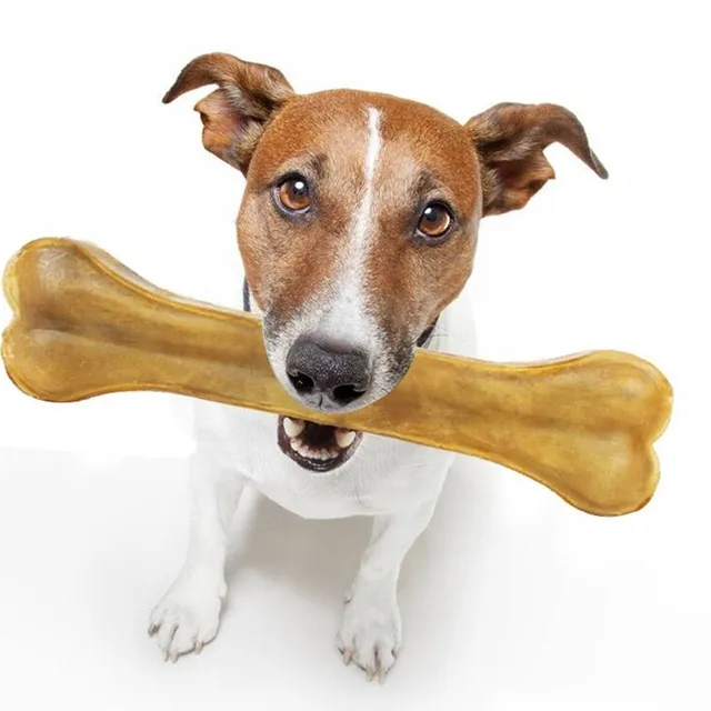 rawhide bone dog chews