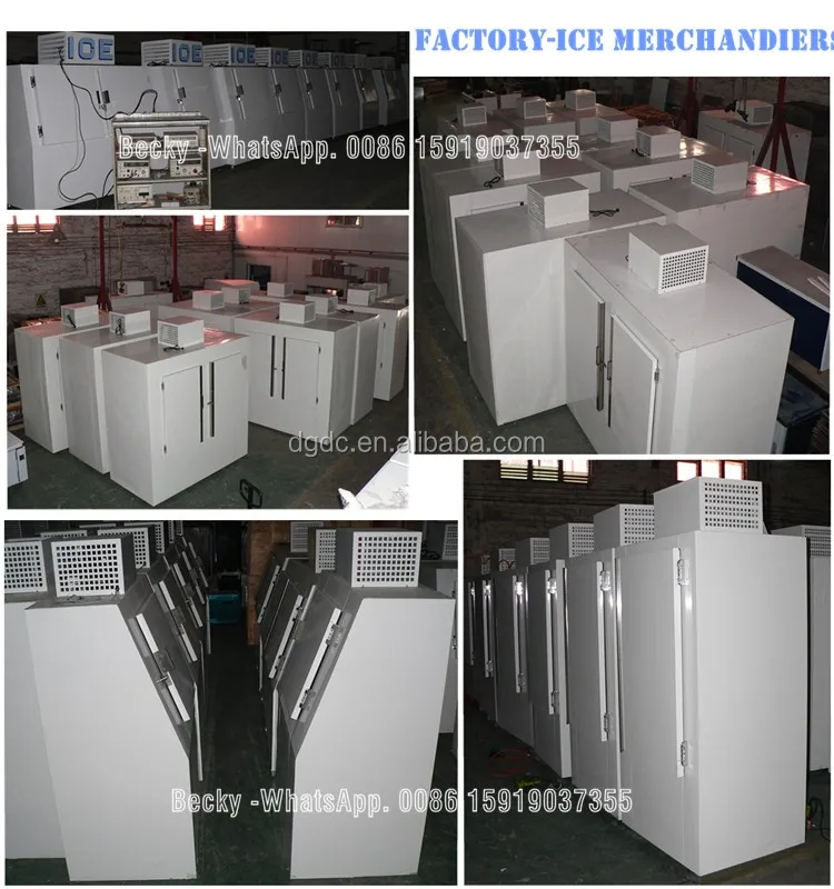 Factory-ice merchandiser - image.jpg