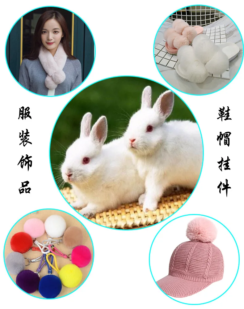 9002942186_1256307258