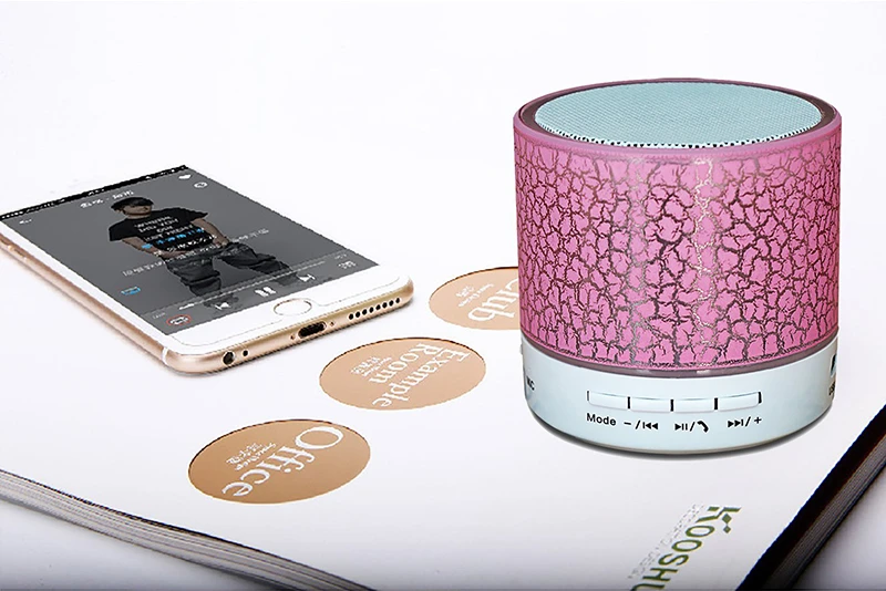 LX-BS203 (17)speaker