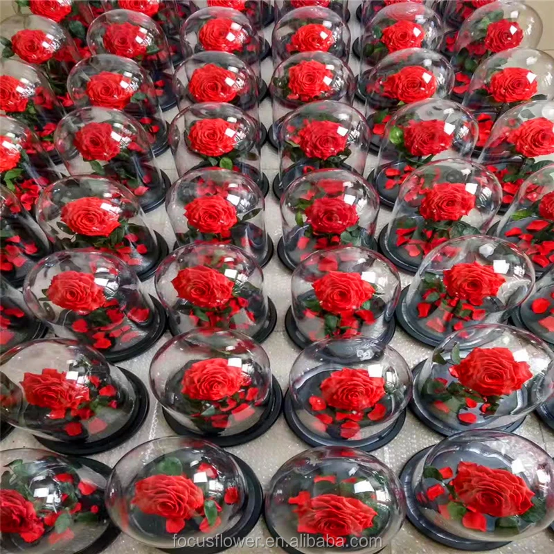 Best Real Natural Preserved Rose In Dome With Good Security For Sale