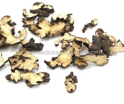 
Dried natural Grifola wild Polyporus umbellatus whole part use as herbal medicine sulphur free 