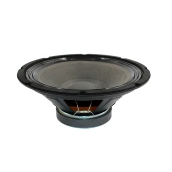 200 watt 12 inch speaker