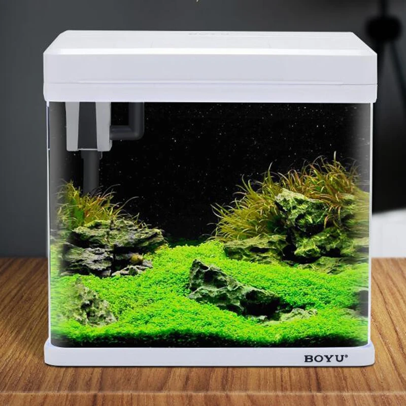 5600 Koleksi Design Aquarium Kecil HD