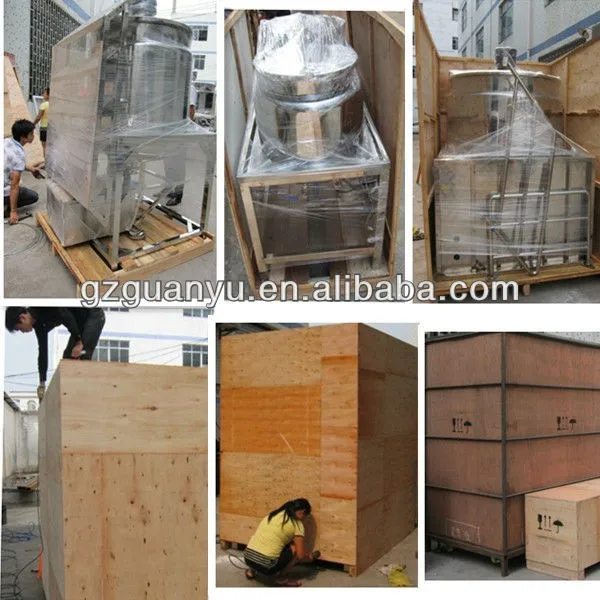 vacuum homogenizer mixer Plywood Wooden Case Packing.jpg