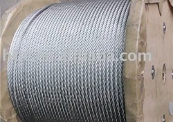 7*7 galvanized steel wire rope