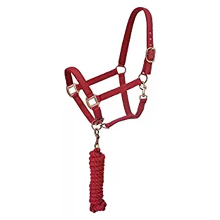

Horse Equipments Nylon Padded Halter with Satin Hardware, Customized
