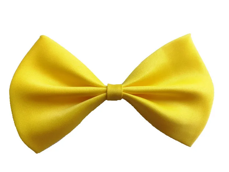 
Colorful Fashion Custom Pet Dog Bowtie 