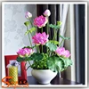Artificial lotus flower pot real touch decorative artificial lotus flower for sale