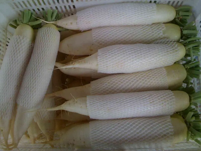 
fresh turnip in carton for sale 