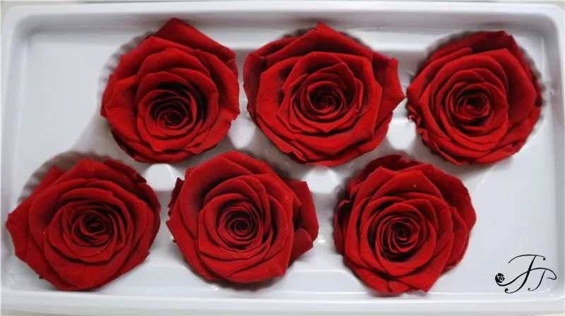 
Long lasting A grade 5-6 CM Ivory Real Preserved Flowers Roses Head for Home Decor 