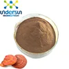 Ganoderma lucidum/Reishi mushroom dry powder Wall-broken ganoderma lucidum spore powder