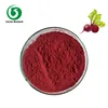 Factory Supply Natural Flavor Organic Beet Root Juice Powder