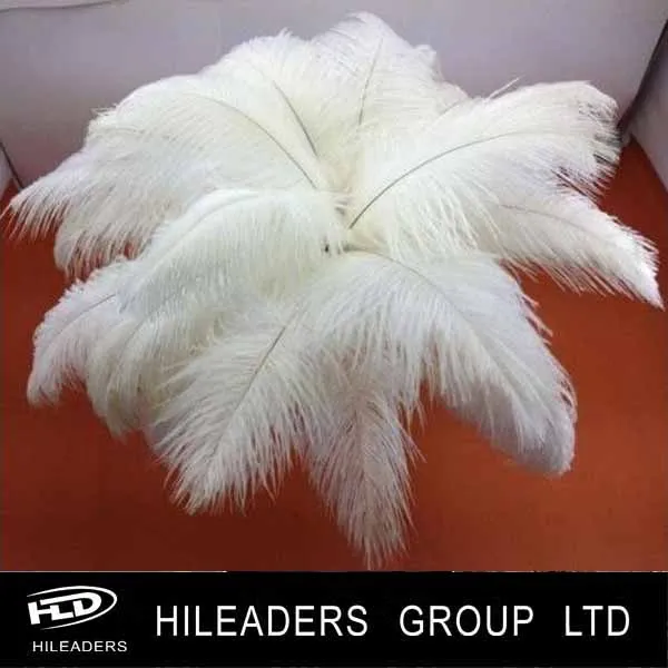 ostrich feathers (14).jpg