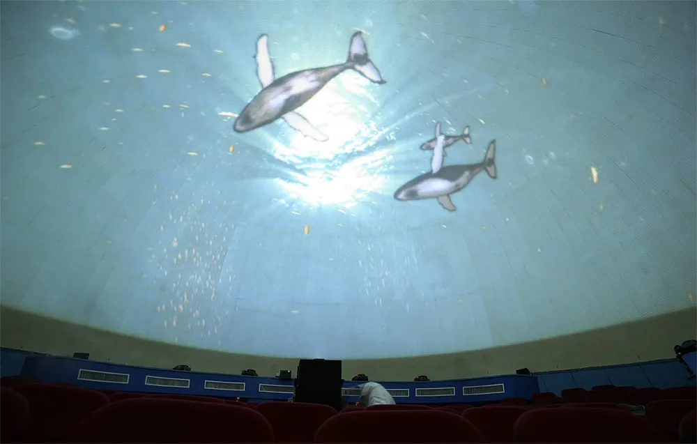 High Quality Digital Projector For Sale Buy